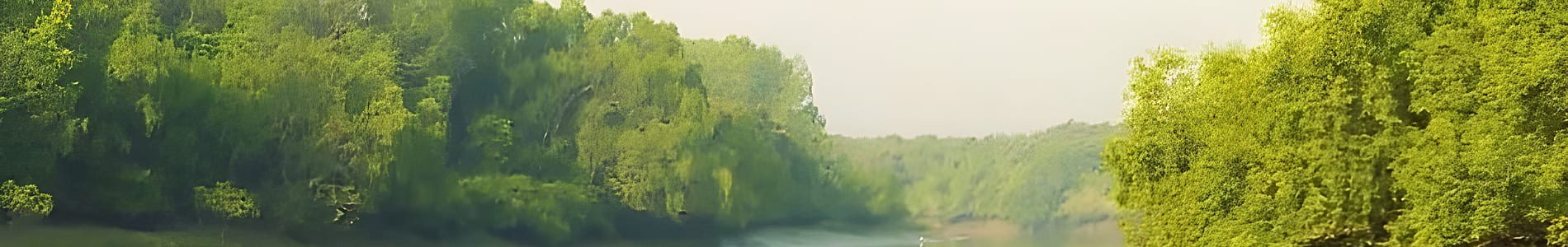 Bhitarkanika