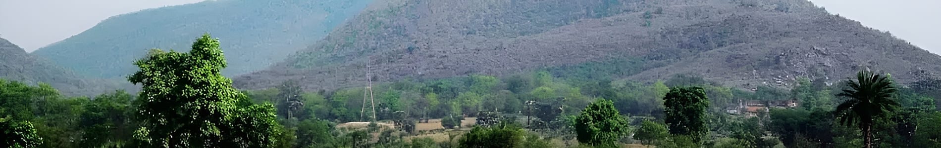 Biharinath