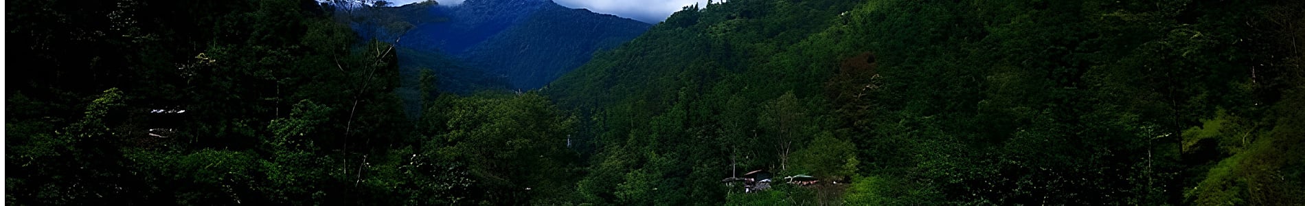 Bijanbari