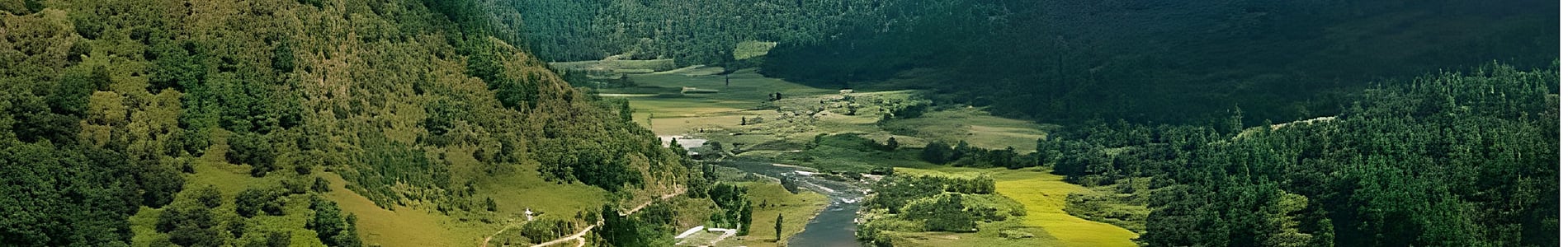 Chota Mangwa