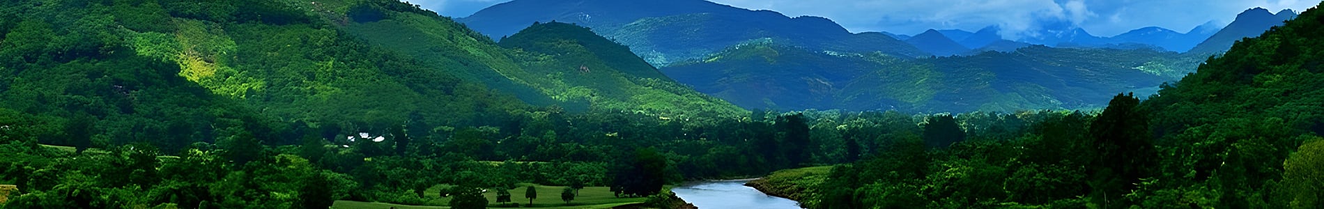 Daringbadi