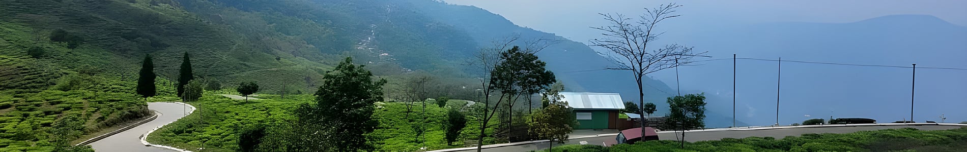 Dawaipani