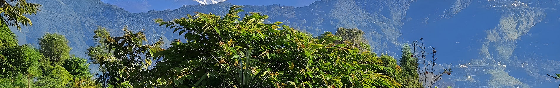 Hee Bermiok
