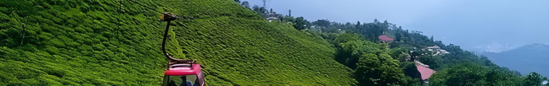 Darjeeling