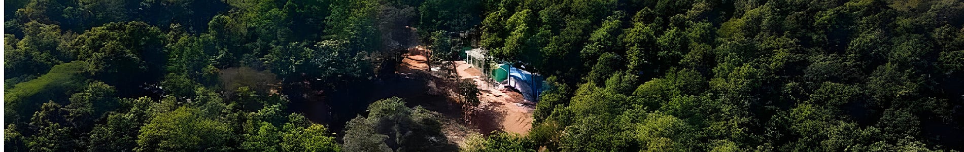 Joypur Forest