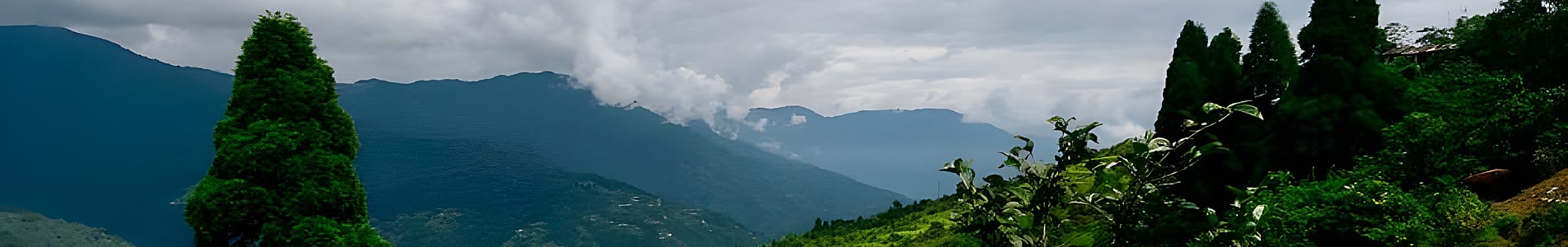 Kaluk