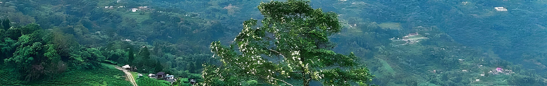 Sherpa Gaon