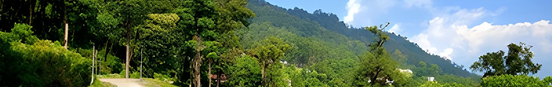 Pedong