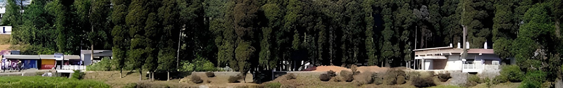 Mirik