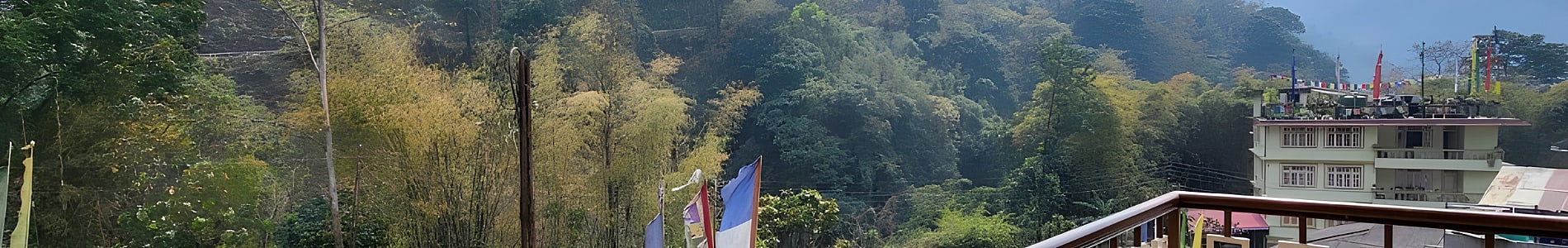 Lingtam