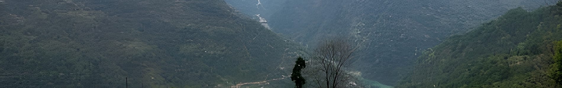 Mangan