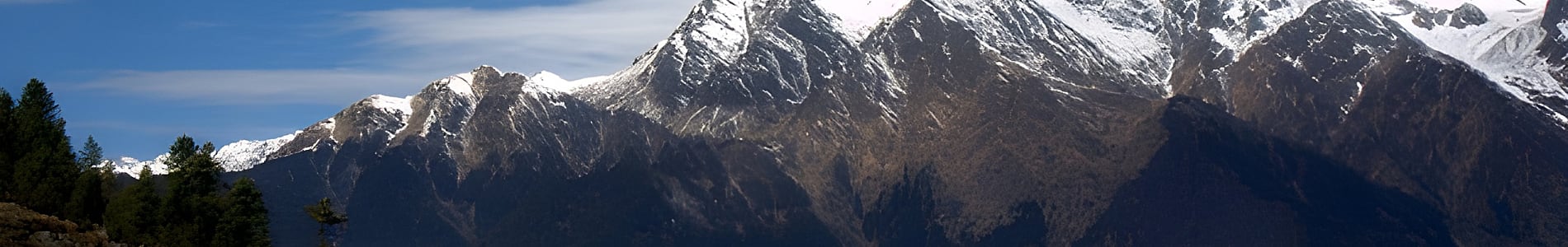 Auli