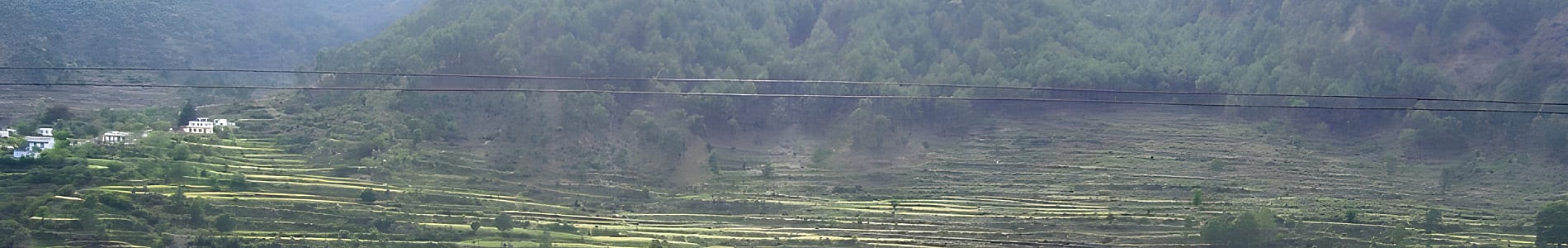 Ranikhet