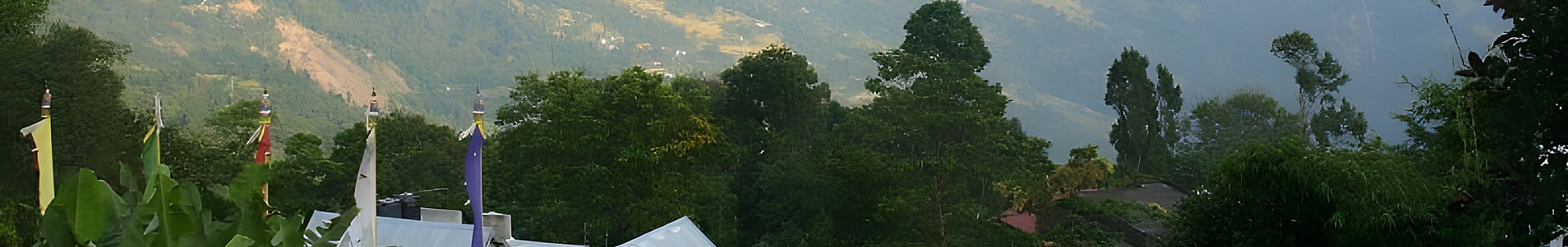 Fikkalygaon