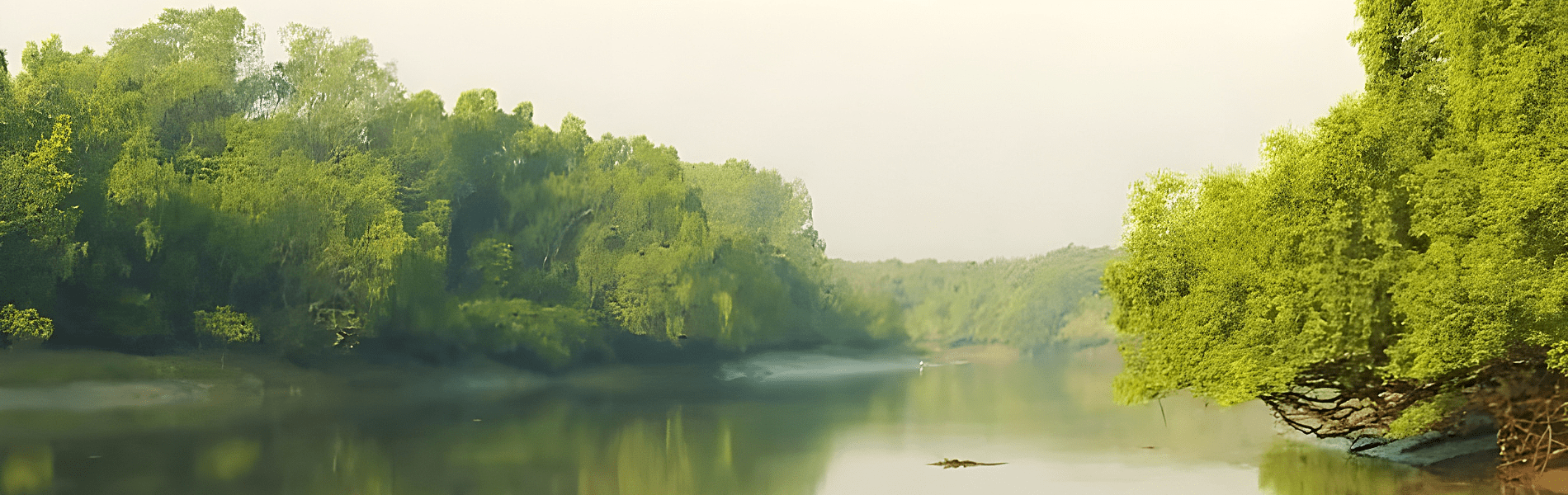 Bhitarkanika