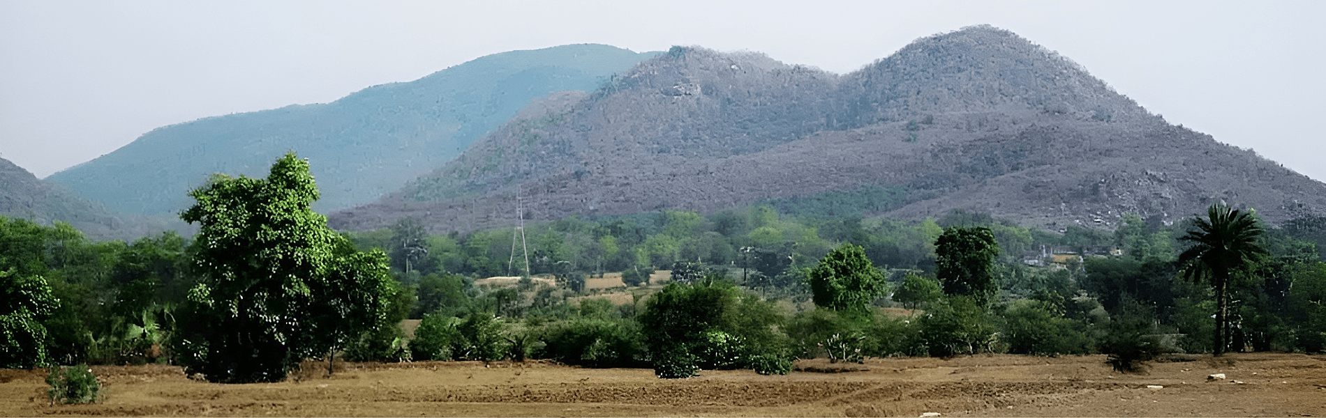 Biharinath