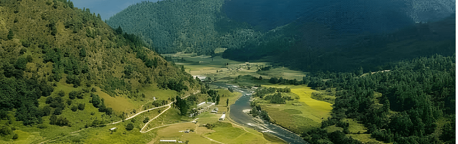 Chota Mangwa
