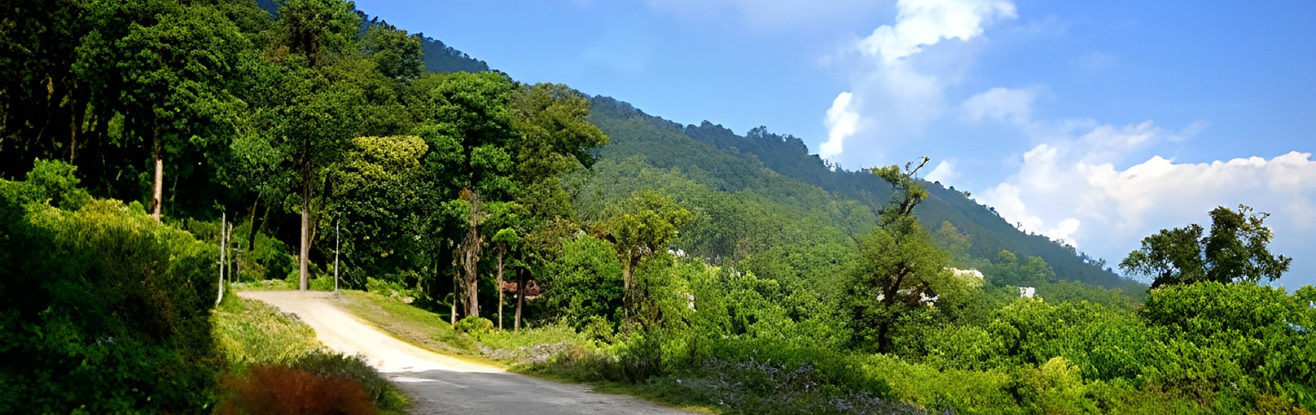 Pedong