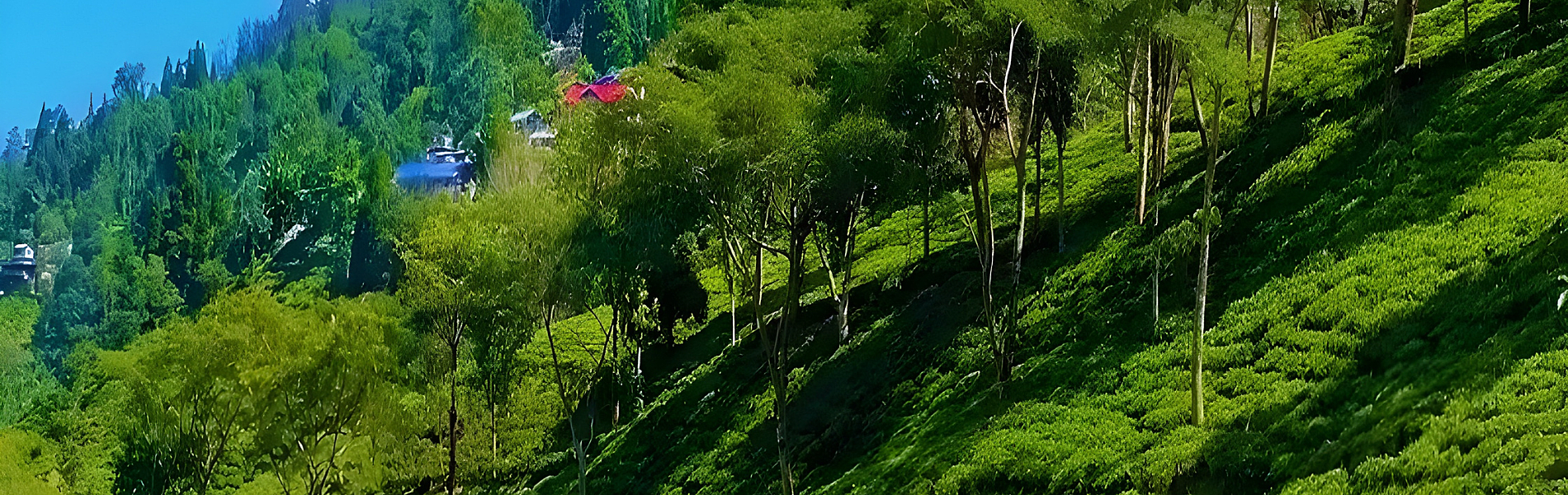 Rangaroon