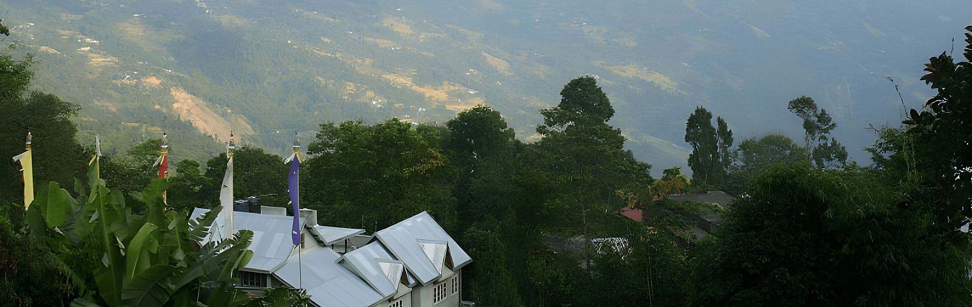 Fikkalygaon