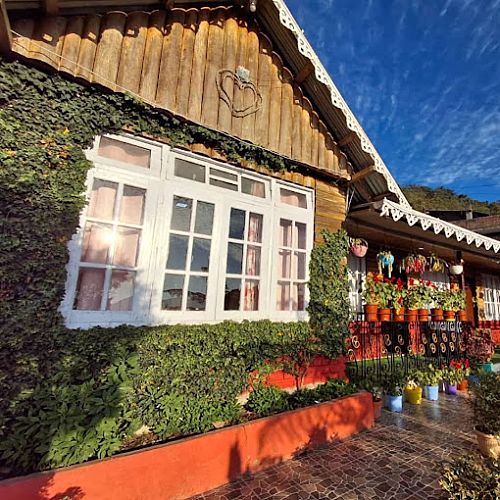 DPC556 Cozy Mountain view Dalapchand homestay