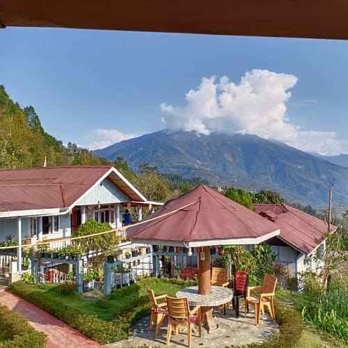 TMI212 Kanchanjungha and tea garden facing farmstay in Temi