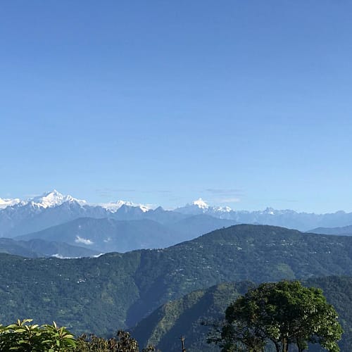 LLG559 Kanchanjungha view standard homestay in Lolegaon 