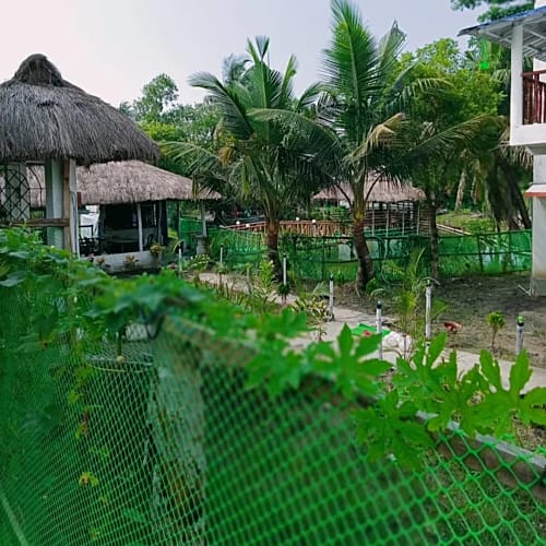SDB611 Standard homestay in Sunderban 
