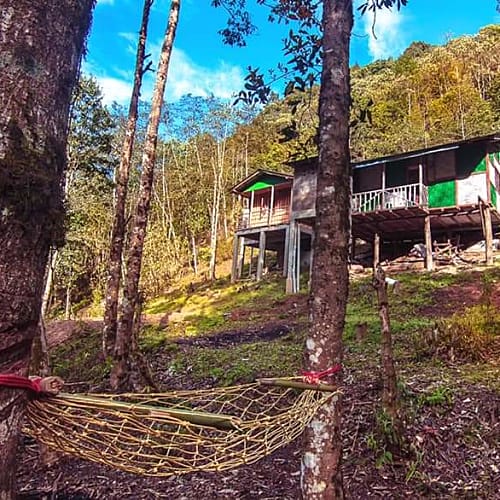NMH1129 Natural Homestay In the Nature 
