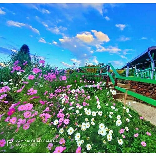 CHP117 Upper Chatakpur Homestay With Garden