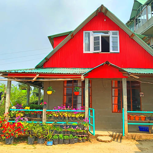 RNG438 Kanchanjungha and tea garden facing hut in Rangaroon