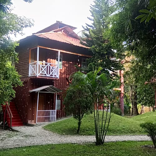 MRT347 Beautiful Forest Resort in Murti