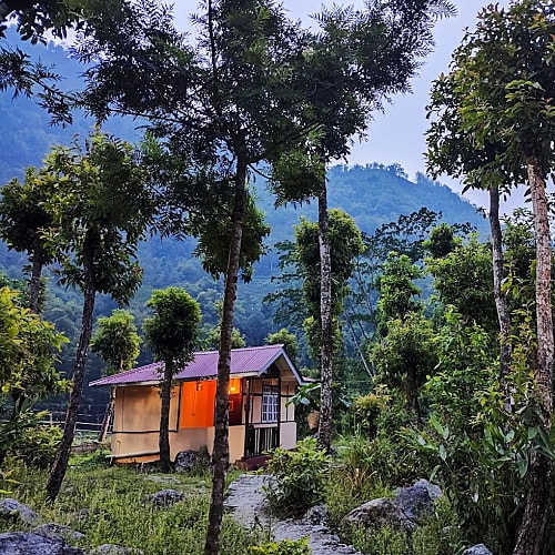 RSK247 Riverside Cottage in Rishikhola