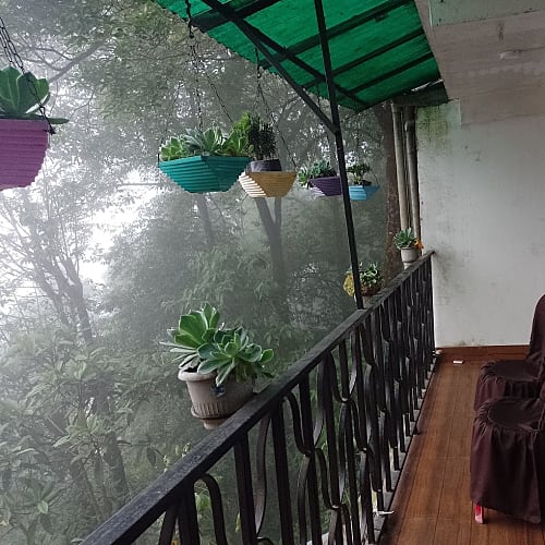 LAM261 Standard hill facing wooden homestay in Lamahatta