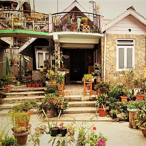 RNG436 Beautiful Kanchanjungha facing cottage in Rangaroon 