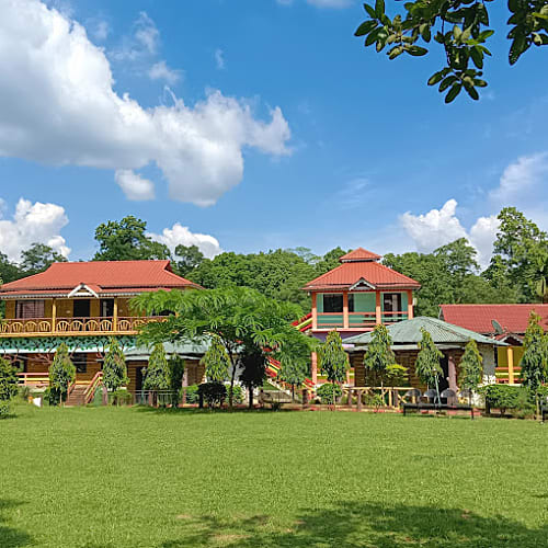 LTG449 Forest resort in Lataguri 