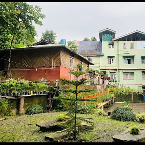 TMI528 Tea garden facing standard homestay with Natural Pool in Temi