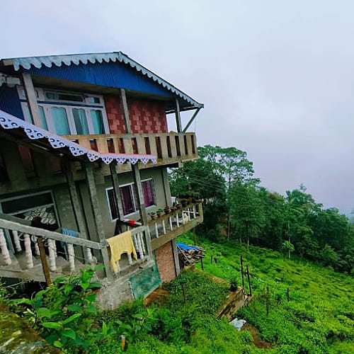 LAM258 Kanchanjungha view standard homestay in Lamahatta