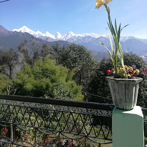 View