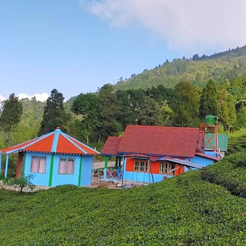 STN114 Tea Garden View Cottage In Sittong 