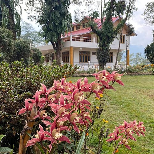 Front View