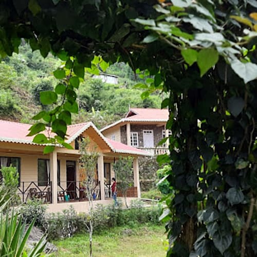 Front View