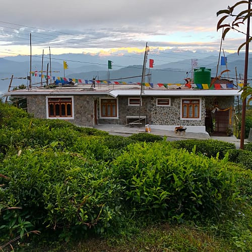 TNC1371 Standard Mountain view Tinchuley homestay