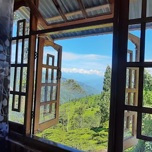 RNG437 Kanchanjungha and tea garden view standard homestay in Rangaroon 