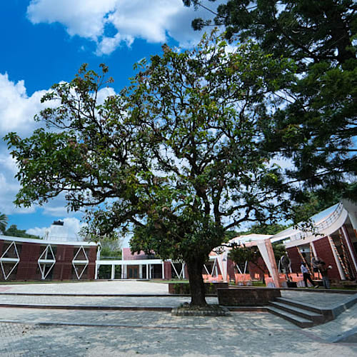 DDN1426 Standard Resort in Dehradun