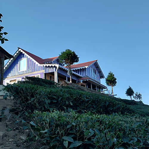 STN1472 Standard Kanchenjunga View Homestay In Sittong
