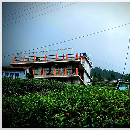 SKP1531 Tea Garden surrounding Homestay