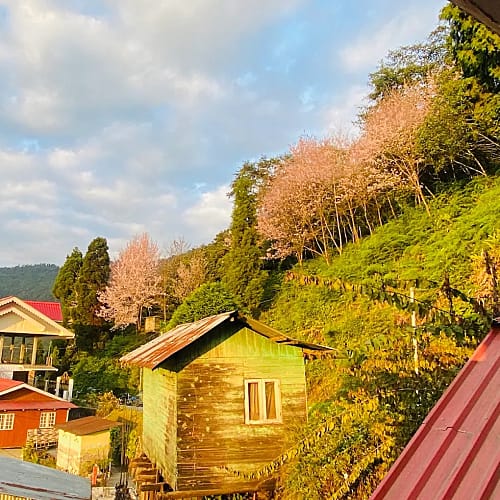 RMD426 Beautiful Homestay with Kanchanjungha View | Ramdhura