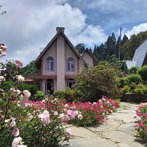 LLG1603 Standard Mountain View Homestay