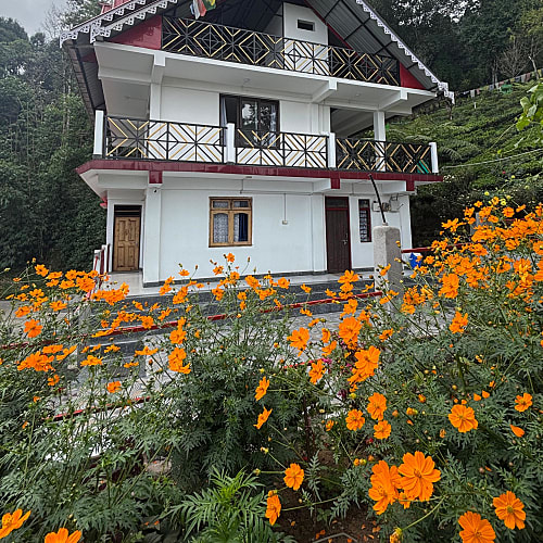 TNC1614 Majestic Mountain View Homestay In Tinchuley